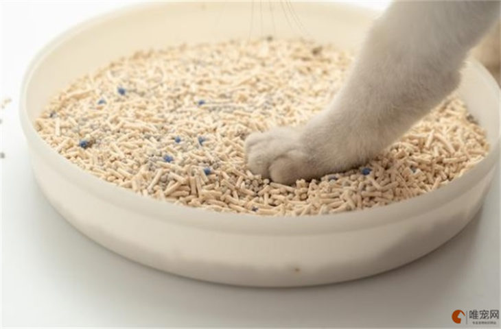 一袋5斤的猫砂一般能用多久