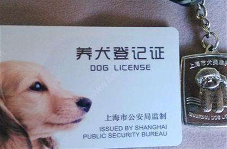 狗证多少钱